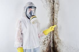 Why You Should Choose Our Mold Remediation Services in South Wenatchee, WA